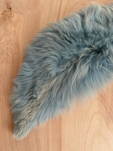 Blue Fur Collar